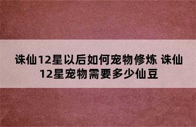 诛仙12星以后如何宠物修炼 诛仙12星宠物需要多少仙豆